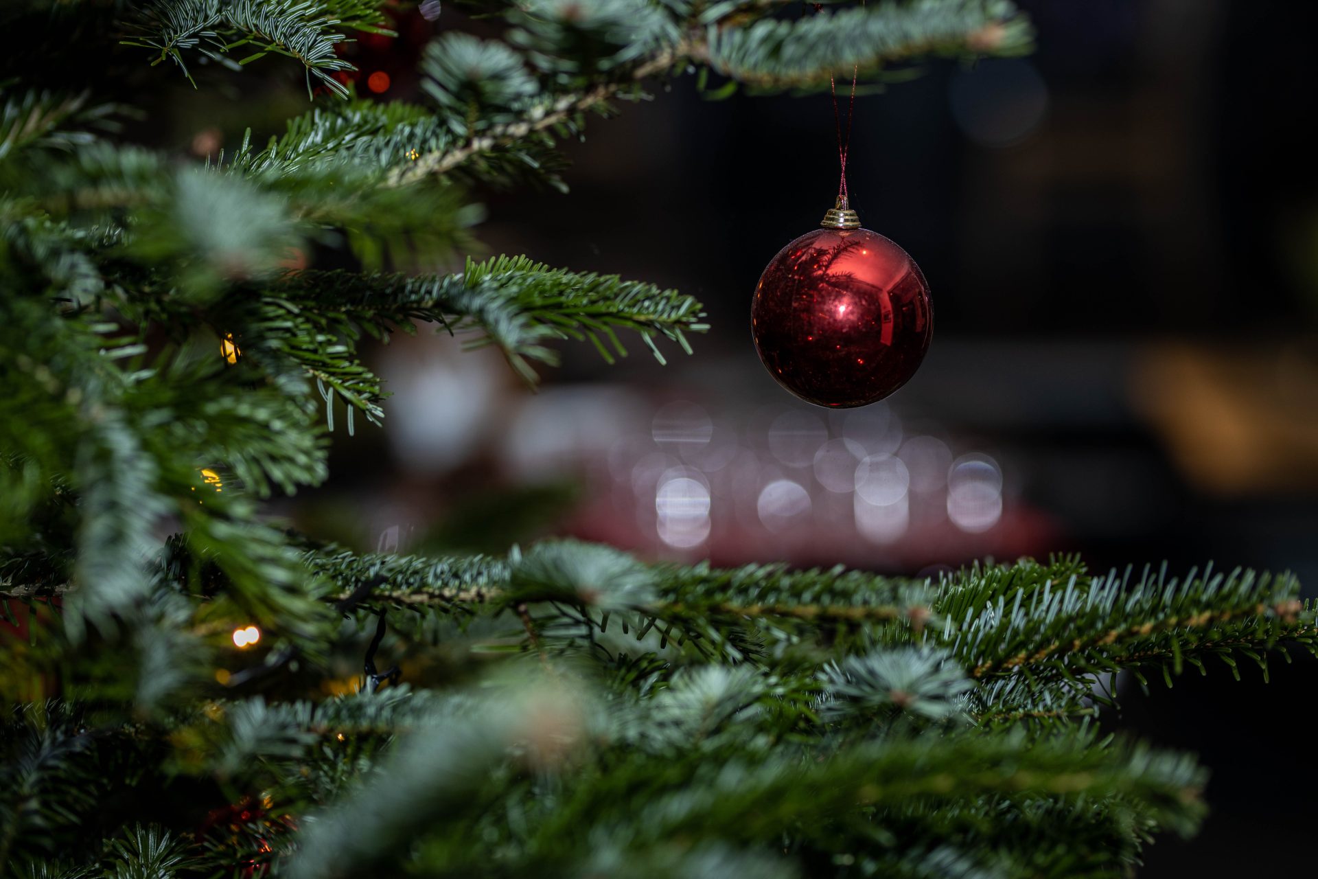 Julbord i Halmstad - Ringenäs Golf, Hotell & Konferens